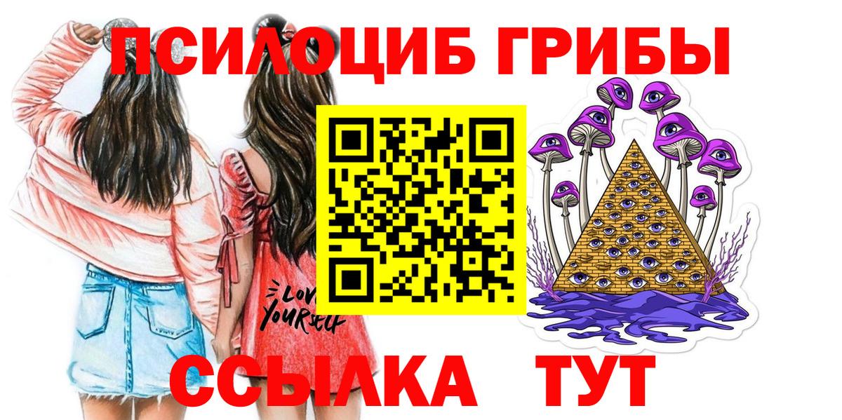 Ипатово  Галлюциногенные грибы Cubensis  Вход с VPN 